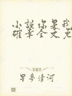 小说你是我的小确幸全文免费阅读