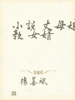 小说 丈母娘 教 女婿