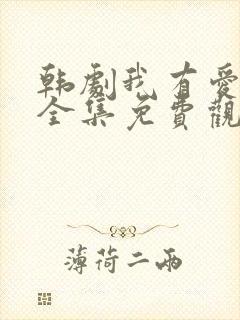 韩剧我有爱人了全集免费观看