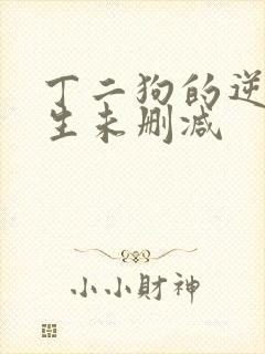 丁二狗的逆袭人生未删减