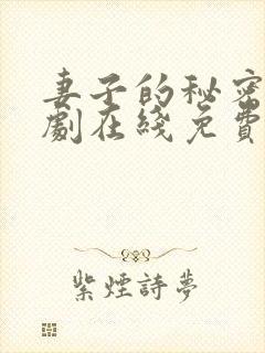 妻子的秘密电视剧在线免费观看