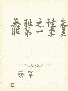 无耻之徒未删减版第一季美版