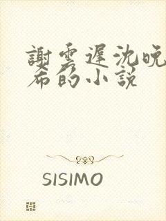 谢云迟沈晚梨叶希的小说