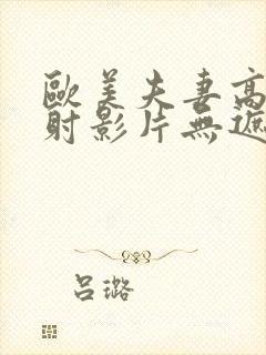 欧美夫妻高清内射影片无遮挡