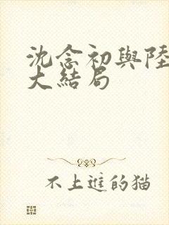 沈念初与陆临洲大结局