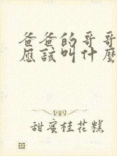 爸爸的哥哥老婆应该叫什么