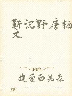 靳沉野唐栖雾全文