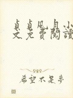 贞贞风月小说全文免费阅读最新章节更新