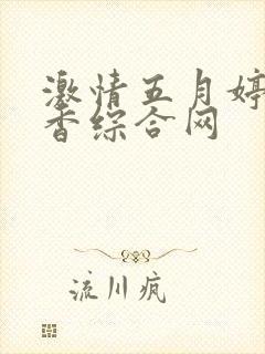 激情五月婷婷丁香综合网
