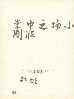 掌中之物小说未删版