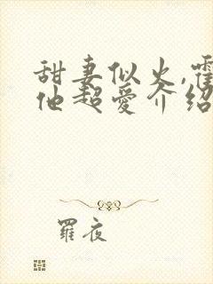 甜妻似火,霍爷他超爱介绍