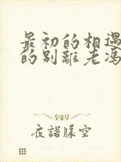 最初的相遇最后的别离老冯是什么人封面