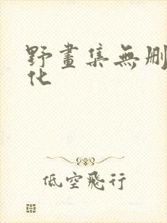 野画集无删减汉化