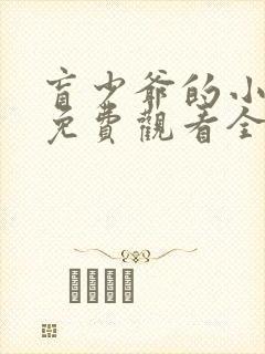 盲少爷的小女仆免费观看全集