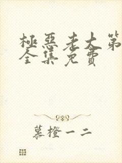 极恶老大第二季全集免费