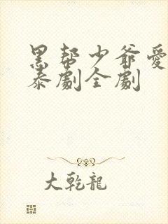 黑帮少爷爱上我泰剧全剧