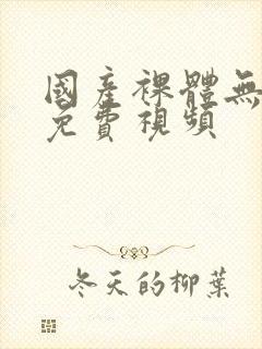 国产裸体无遮挡免费视频