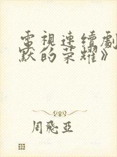 电视连续剧《沉默的荣耀》