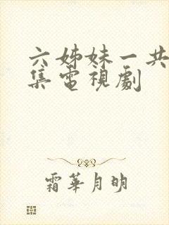 六姊妹一共多少集电视剧