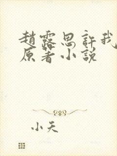 赵露思许我耀眼原著小说封面