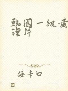 韩国一级黄色伦理片