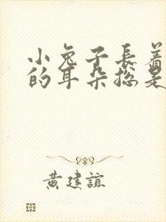 小兔子长着长长的耳朵总是什么的竖起来