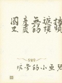 国产无遮挡又黄又爽的视频