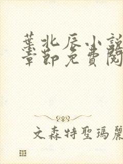 叶北辰小说最新章节免费阅读无弹窗