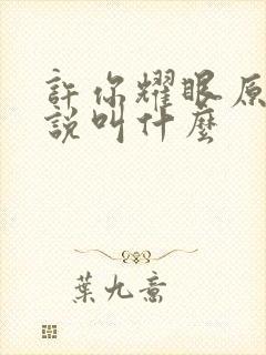 许你耀眼原著小说叫什么