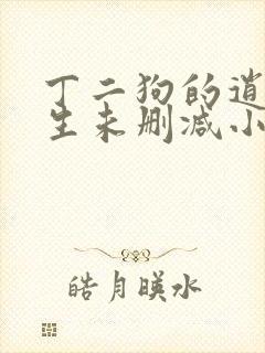 丁二狗的逍遥人生未删减小说