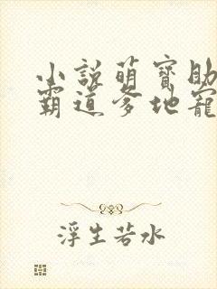 小说萌宝助攻:霸道爹地宠又撩在线阅读