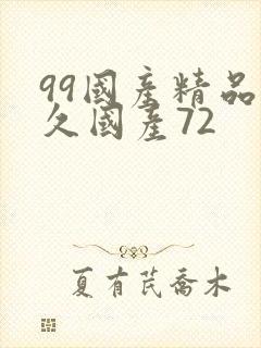 99国产精品久久国产72封面