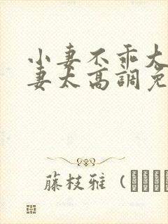 小妻不乖大佬宠妻太高调免费阅读