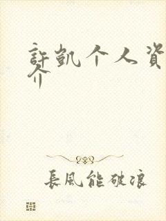 许凯个人资料简介