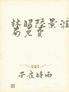 林昭陆景淮大结局免费封面