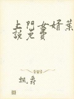 上门女婿叶辰小说免费