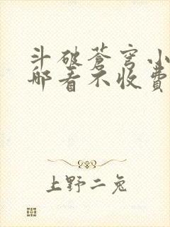 斗破苍穹小说在哪看不收费封面