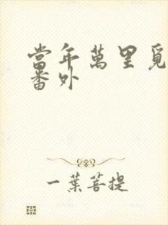 当年万里觅封侯番外