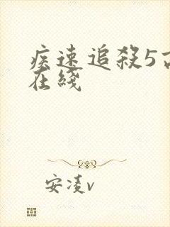 疾速追杀5高清在线封面