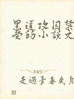 黑道攻囚禁高冷受的小说文