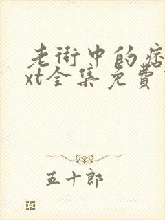 老街中的痞子txt全集免费下载封面