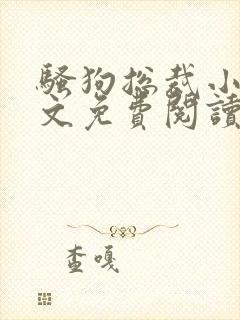 骚狗总裁小说全文免费阅读最新章节