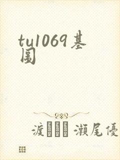 tu1069基图