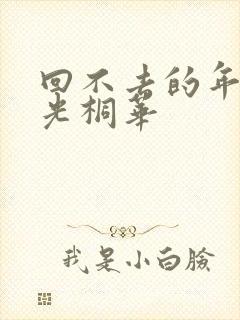 回不去的年少时光桐华封面