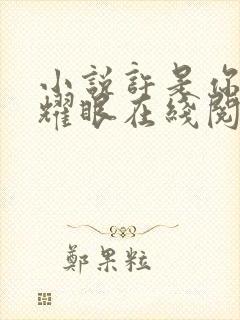 小说许是你太过耀眼在线阅读封面