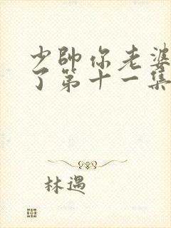 少帅你老婆又跑了第十一集