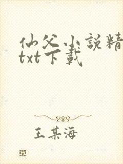 仙父小说精校版txt下载