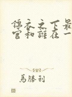 锦衣之下最后上官和谁在一起了封面