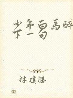 少年白马醉春风下一句封面