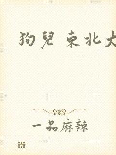 狗儿 东北大炕